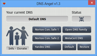 Dns_angel_interface