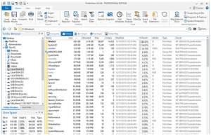 Windows 10 için En İyi Disk Alanı Analizörü