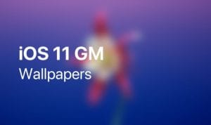 iPhone ve iPad için sızdırılmış iOS 11 GM duvar kağıdı indir