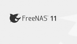FreeBAS nasıl kurulur?