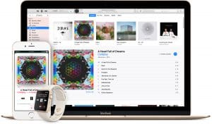 iPhone, iPad veya iPod Touch’da MAC adresi nasıl bulunur?
