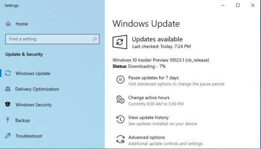 build 19023