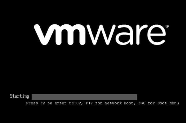 VMware Virtual Machine’de BIOS ayar ekranına nasıl girilir