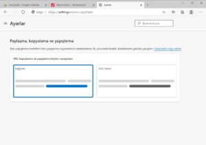 Microsoft Edge: URL’lerin geliştirilmiş kopyalanması ve yapıştırılması