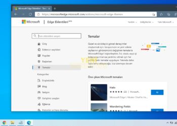 Microsoft Edge’i kişiselleştirmek için temalar nasıl eklenir