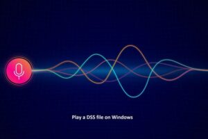 Windows bilgisayarda bir DSS dosyası nasıl oynatılır