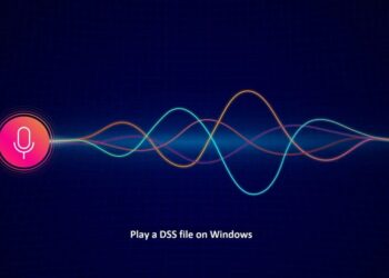 Windows bilgisayarda bir DSS dosyası nasıl oynatılır