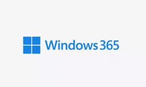 Windows 365 ve Windows 11 arasındaki fark nedir?