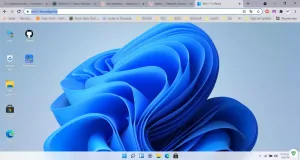 Windows 11’i Web Tarayıcısında Çalıştırın