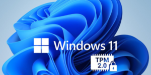 Windows 11’i TPM 2.0 ve Güvenli Önyükleme olmadan yükleme
