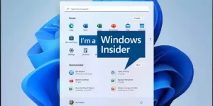 Windows 11’de Dev Channel’dan Beta’ya nasıl geçilir