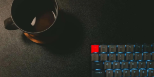 OfflineInsiderEnroll: Microsoft hesabı olmayan bir Windows 11 insider’ı olun