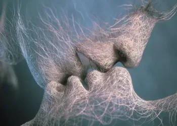 Sadece HD Wallpapers