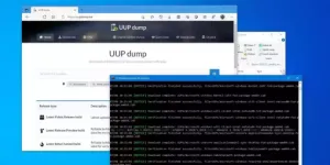 Windows 11 Insider ISO Dosyası Nasıl İndirilir