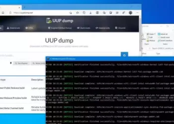 Windows 11 Insider ISO Dosyası Nasıl İndirilir