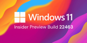 Windows 11 Build 22463 yayınladı