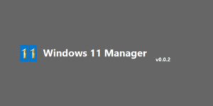 Windows 11 Manager