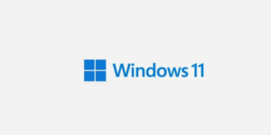 Microsoft hesabı olmadan Windows 11 Home nasıl kurulur