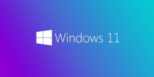 VirtualBox’ta Windows 11 nasıl kurulur