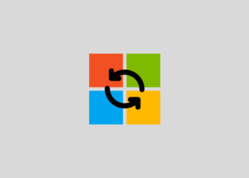 Kurulum Asistanı ile Windows 11’e nasıl yükseltilir