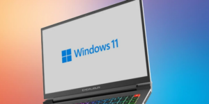 Windows 11 Nasıl Kurulur