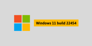Windows 11 build 22454 Insider Preview ISO dosyasını indirin