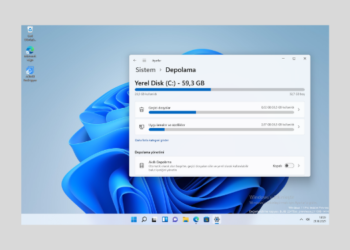 Windows 11’de sürücüde nelerin yer kapladığını nasıl görebilirim?