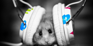 Sevimli Müzik Masaüstü Duvar Kağıtları