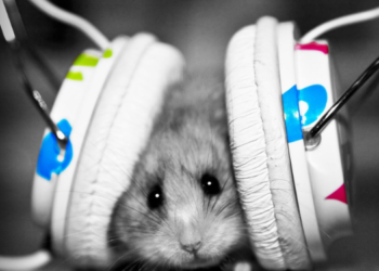 Sevimli Müzik Masaüstü Duvar Kağıtları