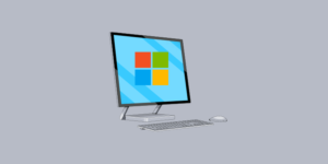 Windows 11’de Windows Home’u Pro’ya Yükseltme