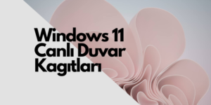 Windows 11’de hareketli canlı duvar kağıtları nasıl indirilir ve ayarlanır