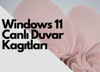 Windows 11’de hareketli canlı duvar kağıtları nasıl indirilir ve ayarlanır
