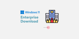 Windows 11 Enterprise indir