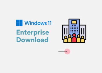 Windows 11 Enterprise indir