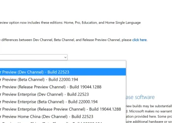 Windows 11 build 22523 Insider Preview ISO dosyasını indirin