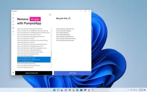 Windows 11 tamamen nasıl kaldırılır