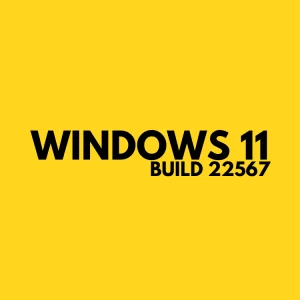 Windows 11 Build 22567