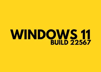 Windows 11 Build 22567