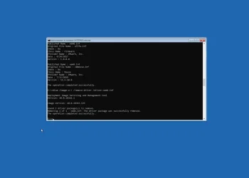 Windows 10’da kurtarma ortamından sürücü nasıl kaldırılır