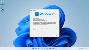 Windows 11 sürümü ve sürümü nasıl kontrol edilir