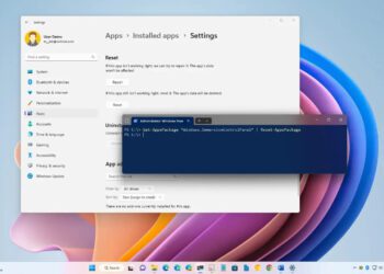 Windows 11’de Ayarlar uygulaması nasıl sıfırlanır