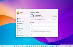 Windows 11 build 25284 sürümleri