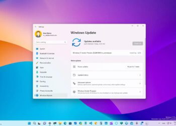 Windows 11 build 25284 sürümleri