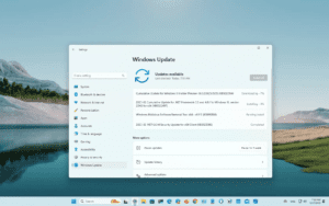 Windows 11 yapı 22623.1325 (KB5022914) Beta Kanalında kullanıma sunuldu