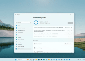 Windows 11 yapı 22623.1325 (KB5022914) Beta Kanalında kullanıma sunuldu
