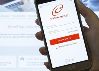 e-Devlet Giriş
