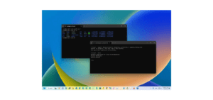 WSL dağıtımını Windows 11’de nasıl klonlarım?