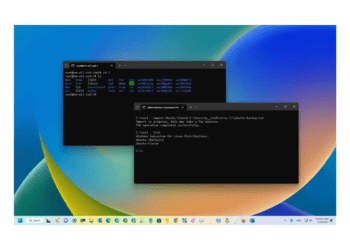 WSL dağıtımını Windows 11’de nasıl klonlarım?