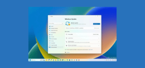 Windows 11 yapısı 23481, Geliştirici Kanalı’nda mevcuttur.