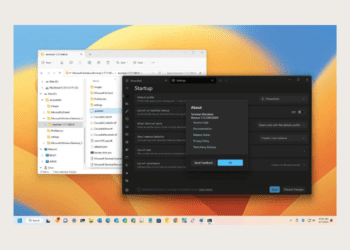 Windows Terminal için taşınabilir modu etkinleştirmek